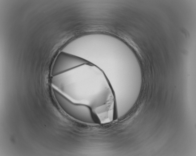 X0000115210585200911121906