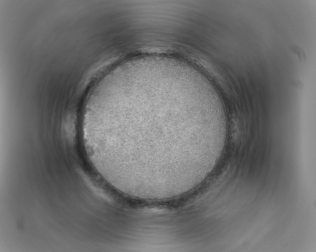 X0000115210586200911121906