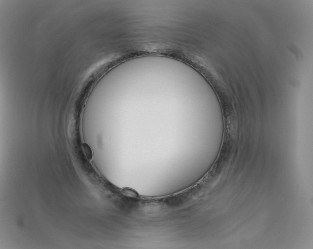X0000115210587200911121906