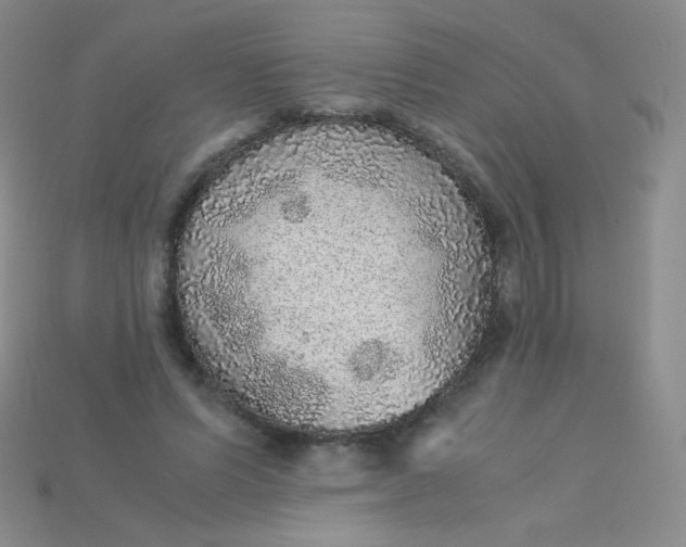 X0000115210591200911121906
