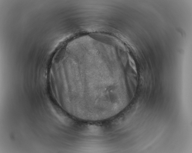 X0000115210592200911121906