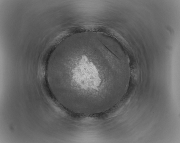 X0000115210593200911121906