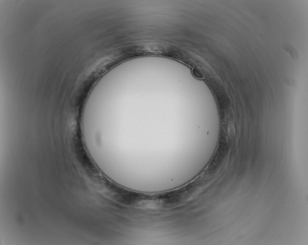 X0000115210595200911121906