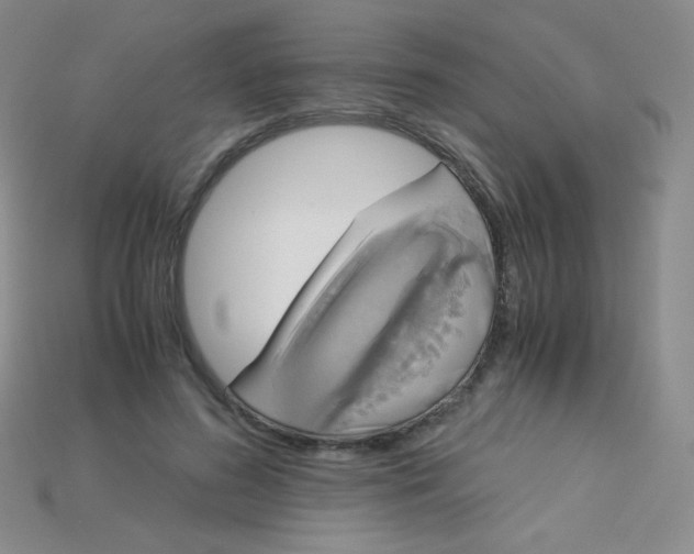 X0000115210596200911121906