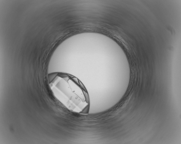 X0000115210597200911121906