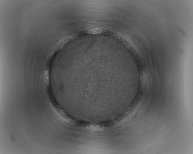 X0000115210598200911121906