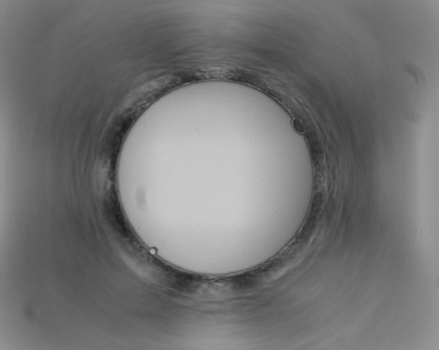 X0000115210599200911121906