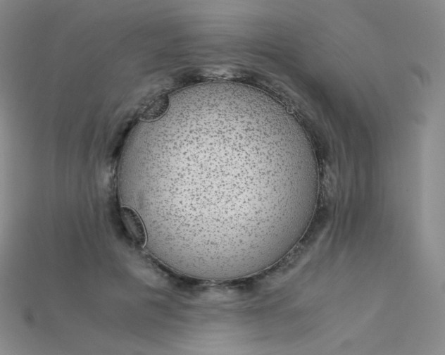 X0000115210601200911121906