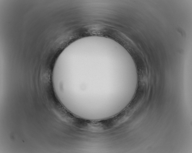 X0000115210603200911121906
