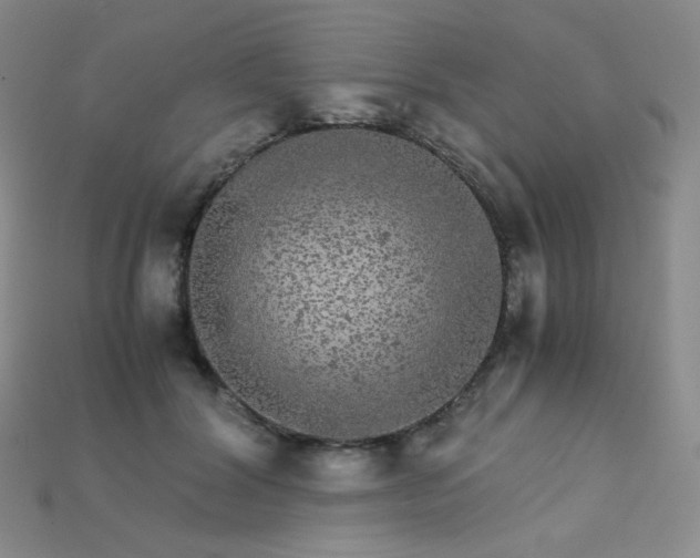 X0000115210604200911121906