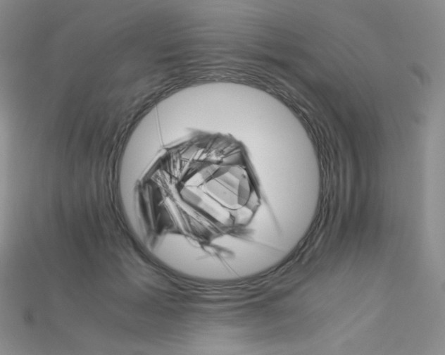 X0000115210605200911121906