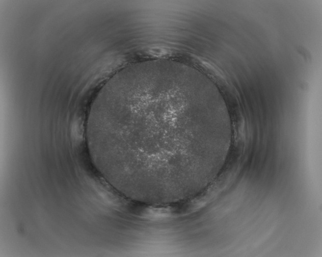 X0000115210606200911121906