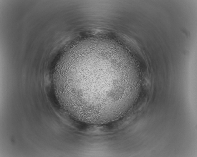 X0000115210607200911121906