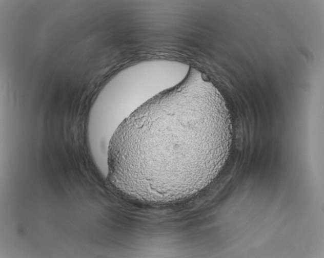 X0000115210608200911121906