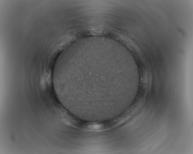 X0000115210610200911121906