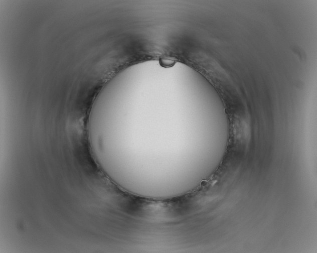 X0000115210611200911121906