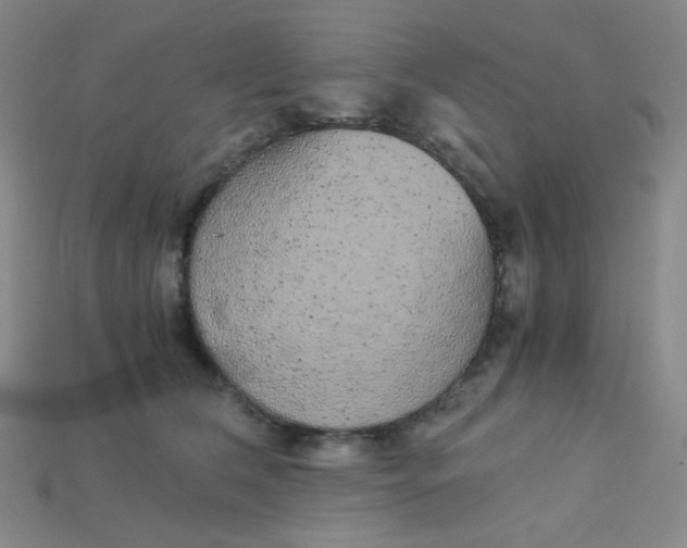 X0000115210612200911121906