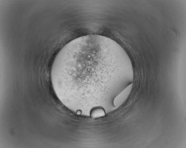 X0000115210613200911121906