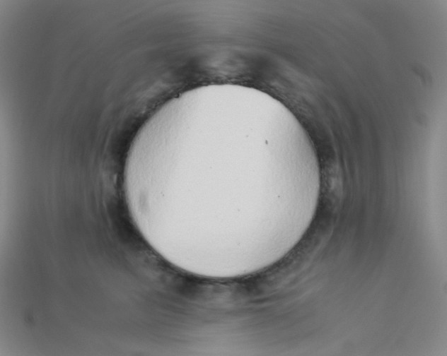 X0000115210615200911121906