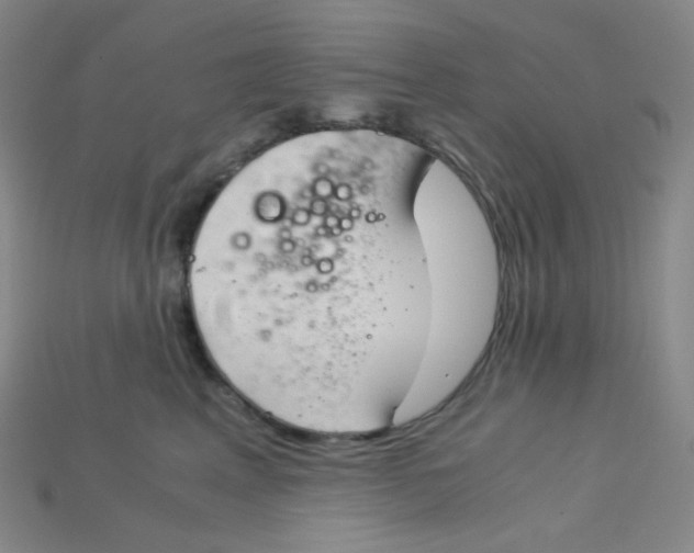 X0000115210617200911121906