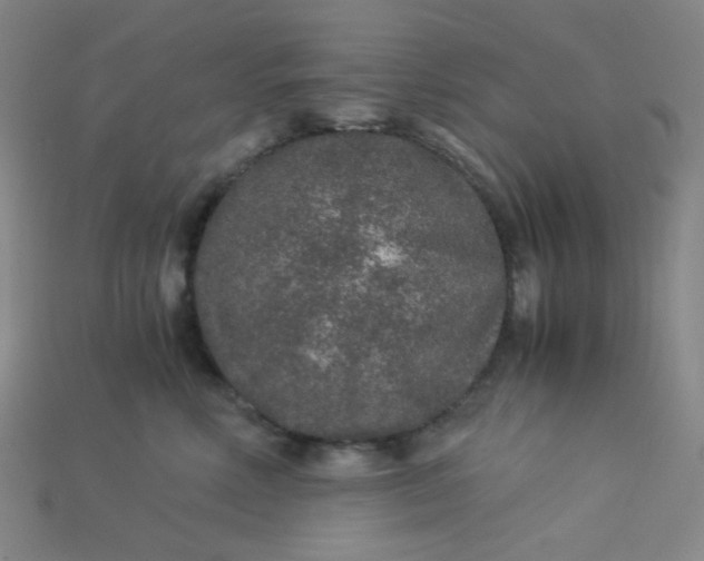 X0000115210618200911121906