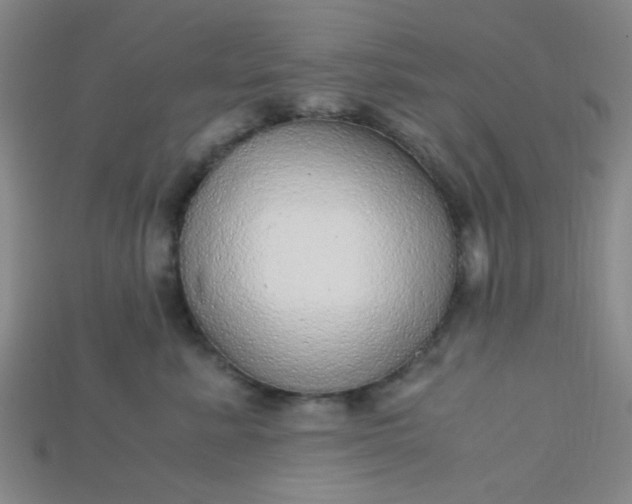 X0000115210619200911121905