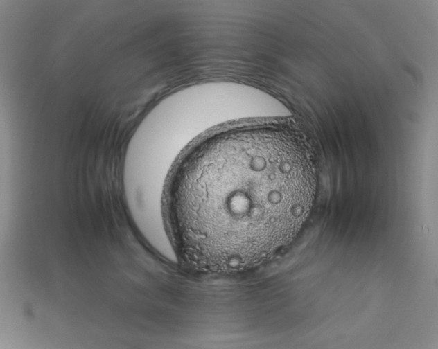 X0000115210620200911121905