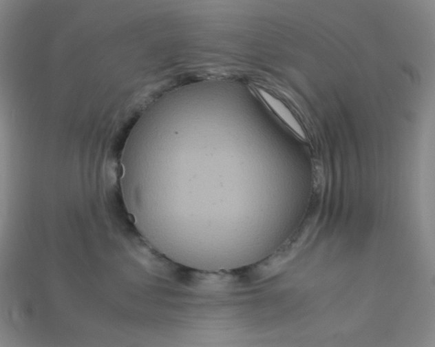 X0000115210621200911121905