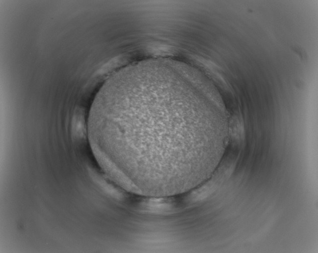 X0000115210622200911121905