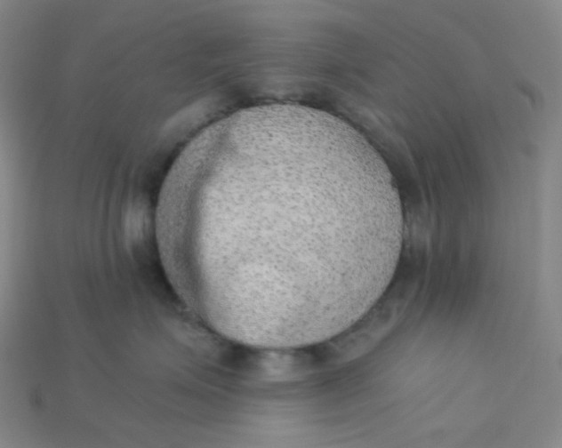 X0000115210623200911121905
