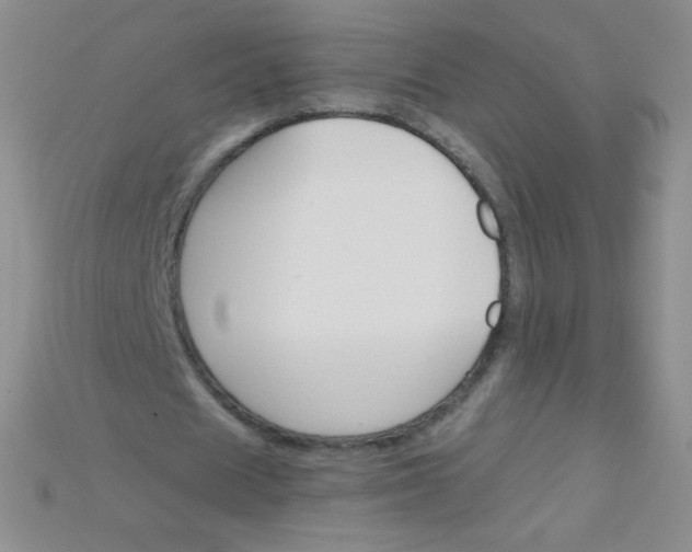 X0000115210625200911121905