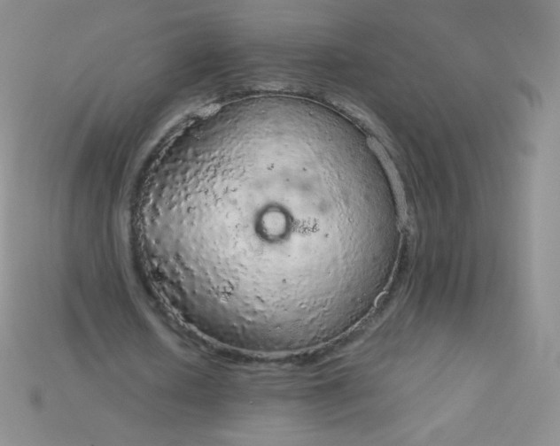 X0000115210626200911121905