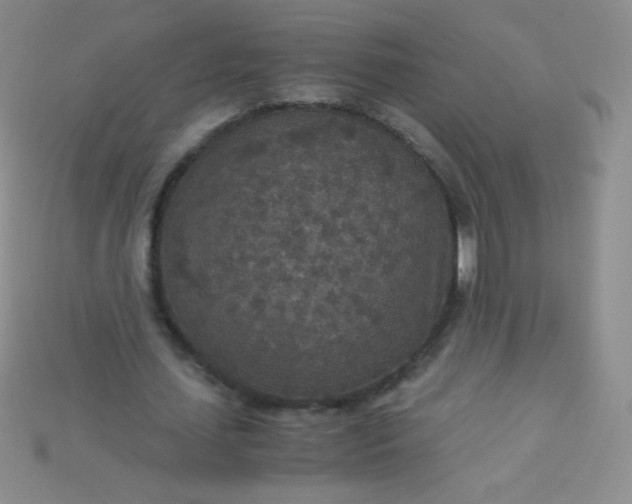 X0000115210627200911121905