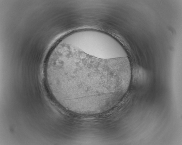 X0000115210628200911121905