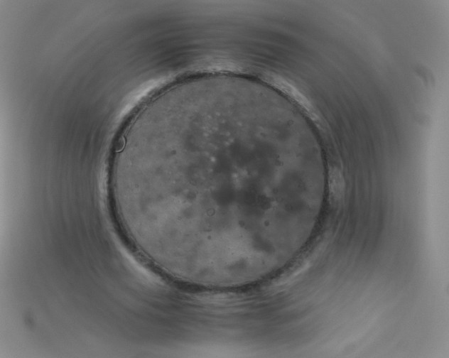 X0000115210629200911121905