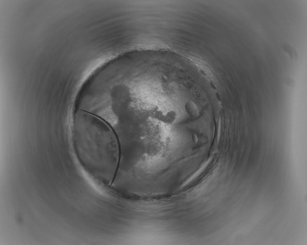X0000115210630200911121905