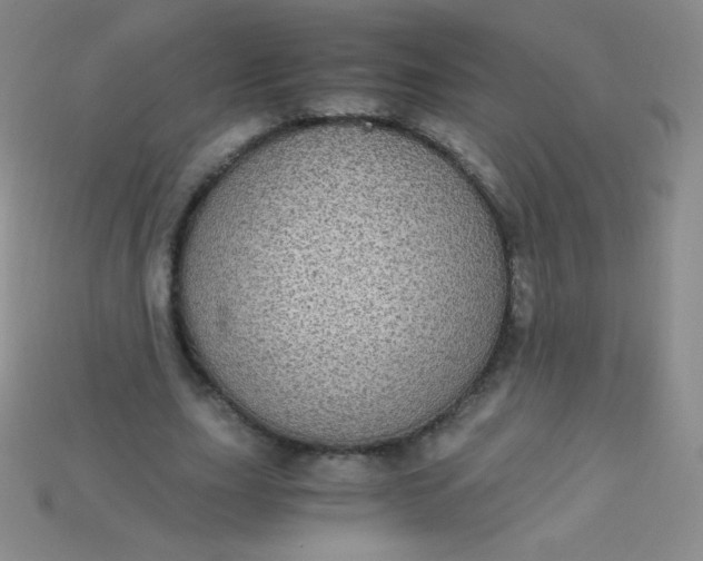 X0000115210631200911121905