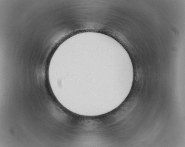 X0000115210632200911121905