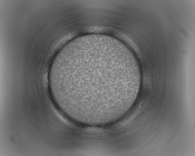X0000115210633200911121905
