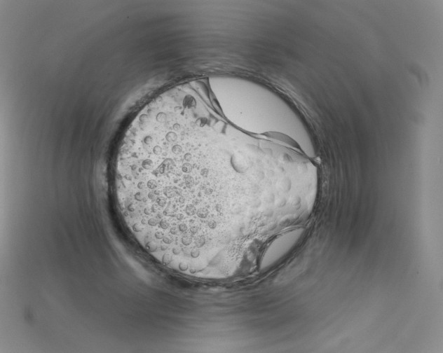 X0000115210634200911121905