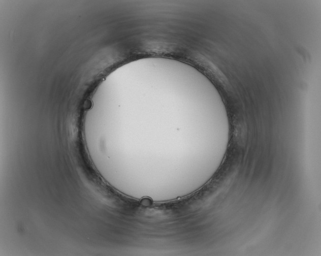 X0000115210635200911121905