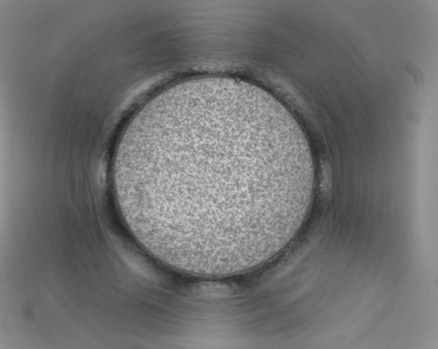 X0000115210636200911121905