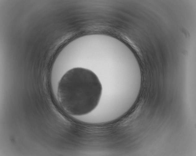 X0000115210637200911121905