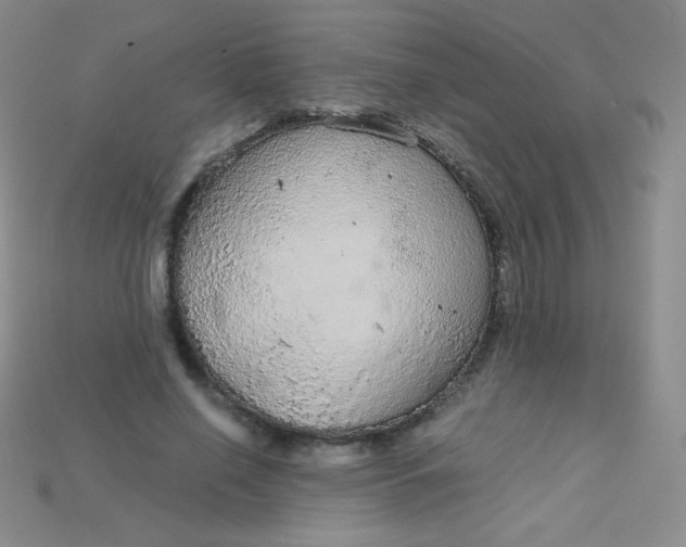 X0000115210638200911121905
