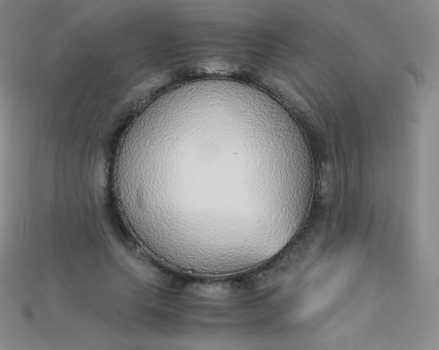 X0000115210639200911121905