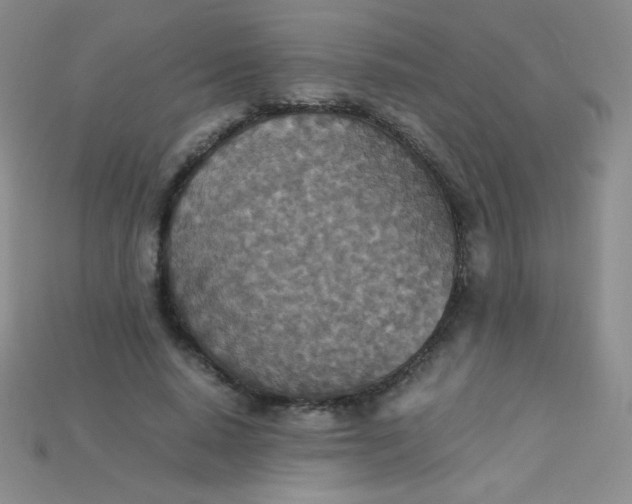 X0000115210640200911121905