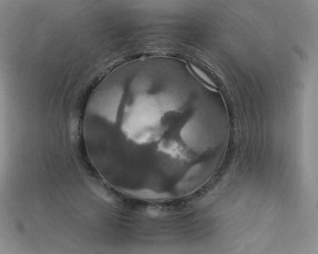 X0000115210641200911121905