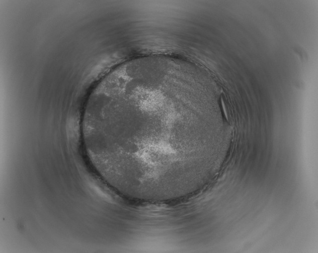 X0000115210642200911121905