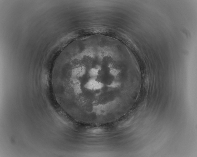 X0000115210643200911121905