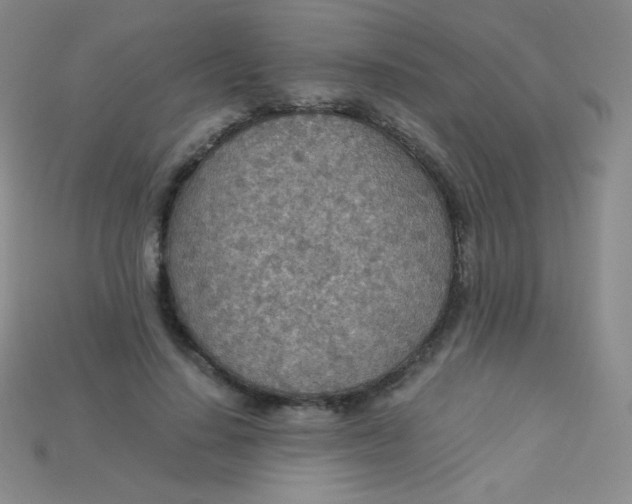 X0000115210644200911121905